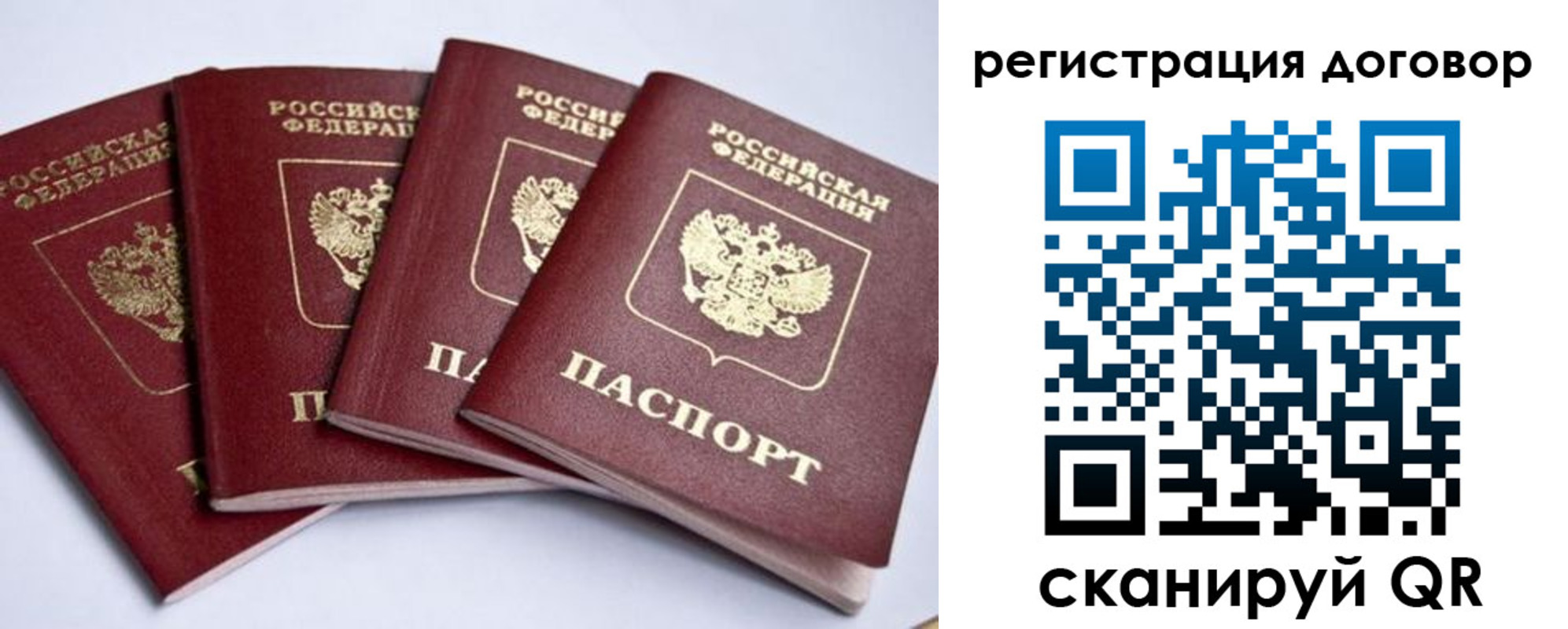 прописка поиск в Московской области