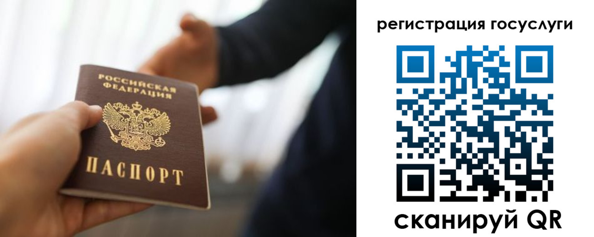 прописка в Московской области
